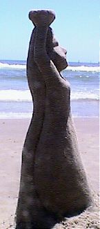 profile