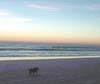 wagssunrise