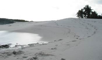 Tahiti beach