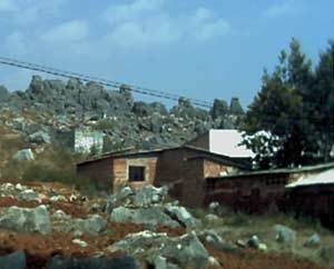 stone forest